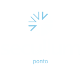 Secullum Ponto Delzan Tecnologia