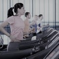 Secullum Academia Delzan Tecnologia